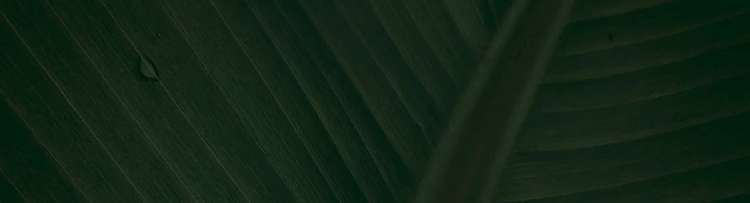 Baja Serbajadi Flowering Inducer Fertiliser 47