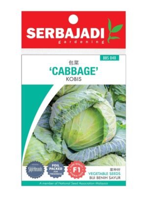 Serbajadi F1 Hybrid Cabbage Seeds – BBS040 (1 Pack)