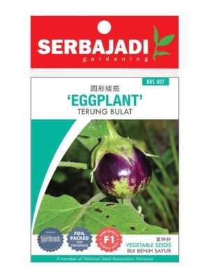 Serbajadi Vegetable Seeds Round Eggplant (BBS) 1pack